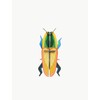 3D Madagascar Bette Strudio Roof Beetle