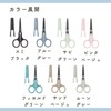 Raymay Fujii KP4A Scissors Fluorine Coat Kept Blue Gray
