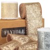 Flyhill Shimmering Frayed Soft Metallic Chiffon Silk Ribbon with Champagne