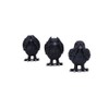 Nemesis Now Three Wise Ravens, Black, 8.7cm (B6023V2)