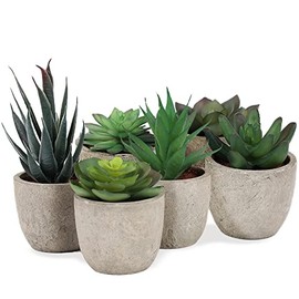 Juego de Plantas Artificiales  6 Plantas suculentas realistas en macetas firmemente pegadas  Fácil de Limpiar y atemporales  Ideal para salón,...     