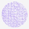 Sizoweb Shapes - Place Mats - Placemats - Decorative Pads