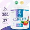 Fit Soul BCAA's 2:1:1 Aminoácidos de Cadena Ramificada Suplemento Alimenticio