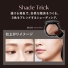 Visee Shade Trick BR300 Medium Brown 8.5g Shading Bronzer Bone