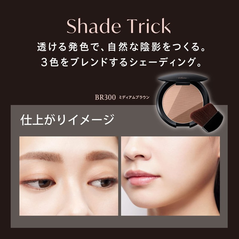 Visee Shade Trick BR300 Medium Brown 8.5g Shading Bronzer Bone