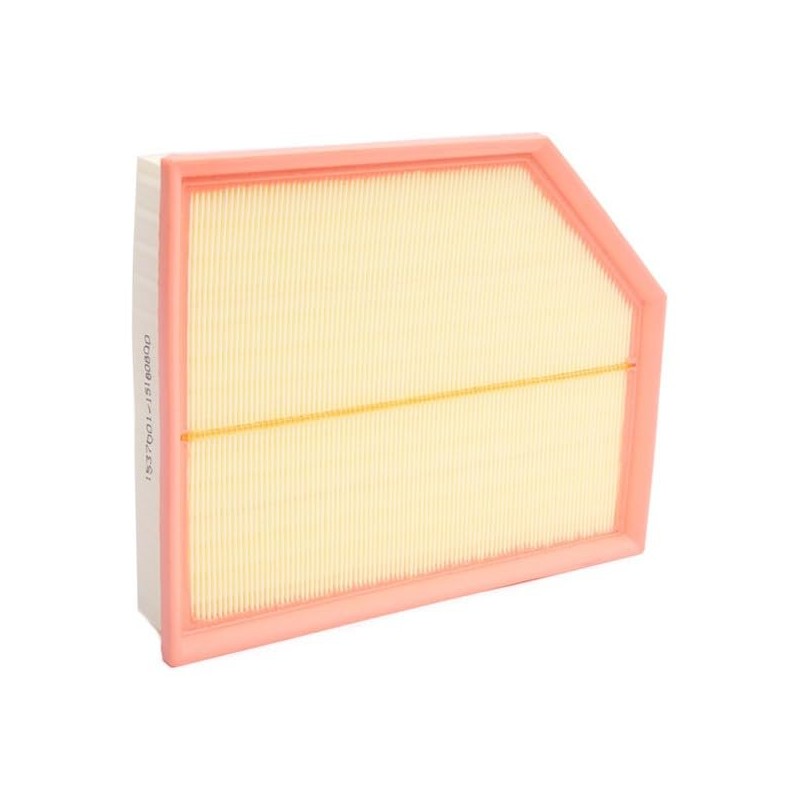 RIDEX 8A0836 Engine Air Filter Filter Insert with Pre-Filter