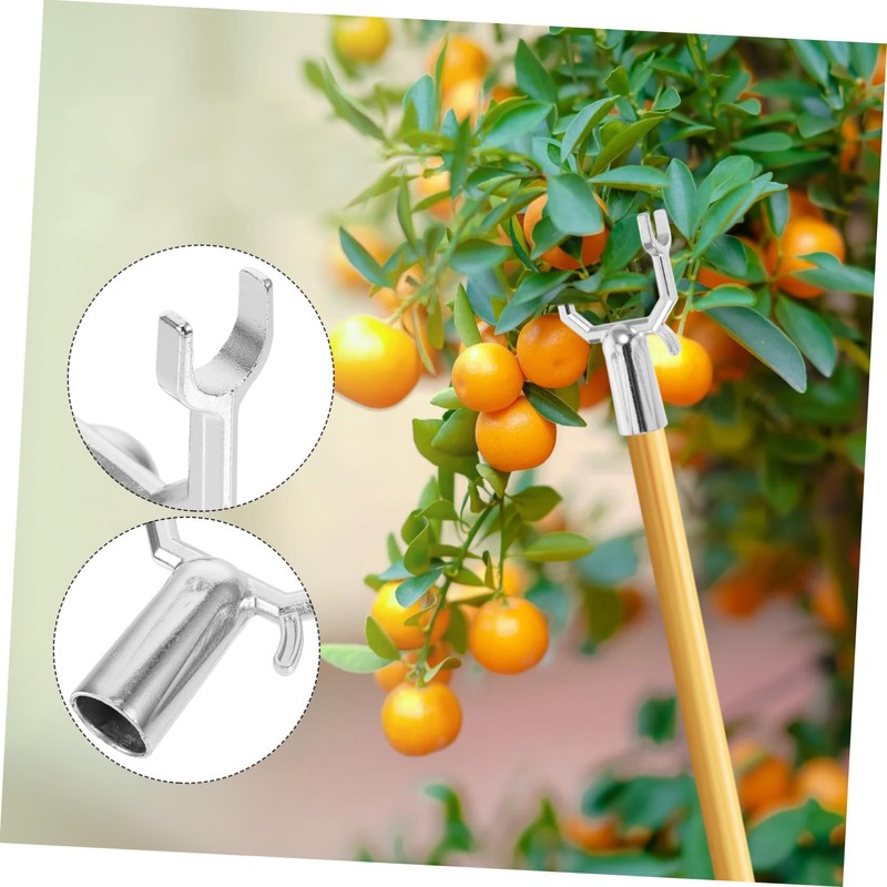 BESPORTBLE 10pcs Metal Tree Branch Support Forks Support for Fruit