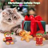 3-Piece Gingerbread Catnip Toy Set, Cat Teething Plush Gifts, Kitten