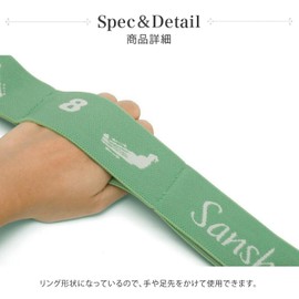Sansha 91AH0001 Stretch Loop Band (Green) 37.8 x 1.6 x 0.1 inches (96 x 4 x 0.4 cm), 9 Loops