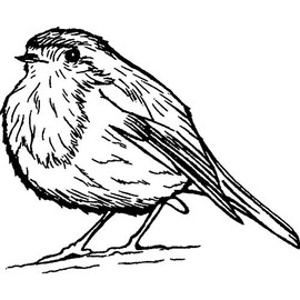 A8 'Cute Robin Bird' Unmounted Rubber Stamp (RS00023783)