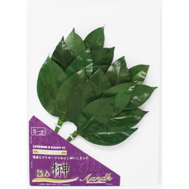 Extreme Sakaki S [No Artificial Flowers] Preserved Sakaki (Uses Luxury Camellia Leaves from Tamba) < Utility Model Registration No. 322297> Handmade Handmade Handmade Sakaki Sakaki One Pair No Watering Required Shrine Shrine Shrine Gear Kamasa New Year N