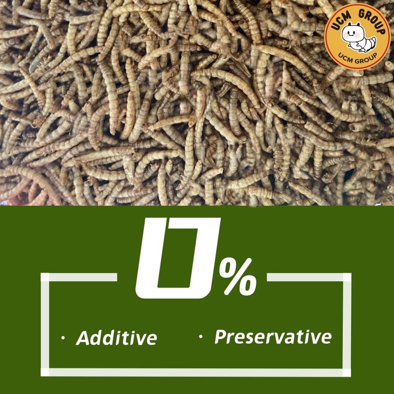 UCM Group 10LB Dried Mealworms for Wild Birds, Chickens, High