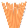 Dakoufish 12 Piece 9 Inch Reusable Plastic Thick Drinking Straws