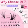 320PCS Eyelashes Individual Kit - 2 Styles Cluster Lashes Kit