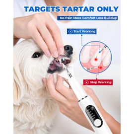 PATWING Ultrasonic Dog Tooth Cleaner, Plaque & Tartar Remover for Dogs