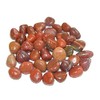 Red Jasper Small Various Crystal Polished Tumblestone Gemstone Tumbled Stone