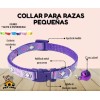 Collar Perros Y Gatos Ajustable Raza Pequeña Kit 6 Piezas