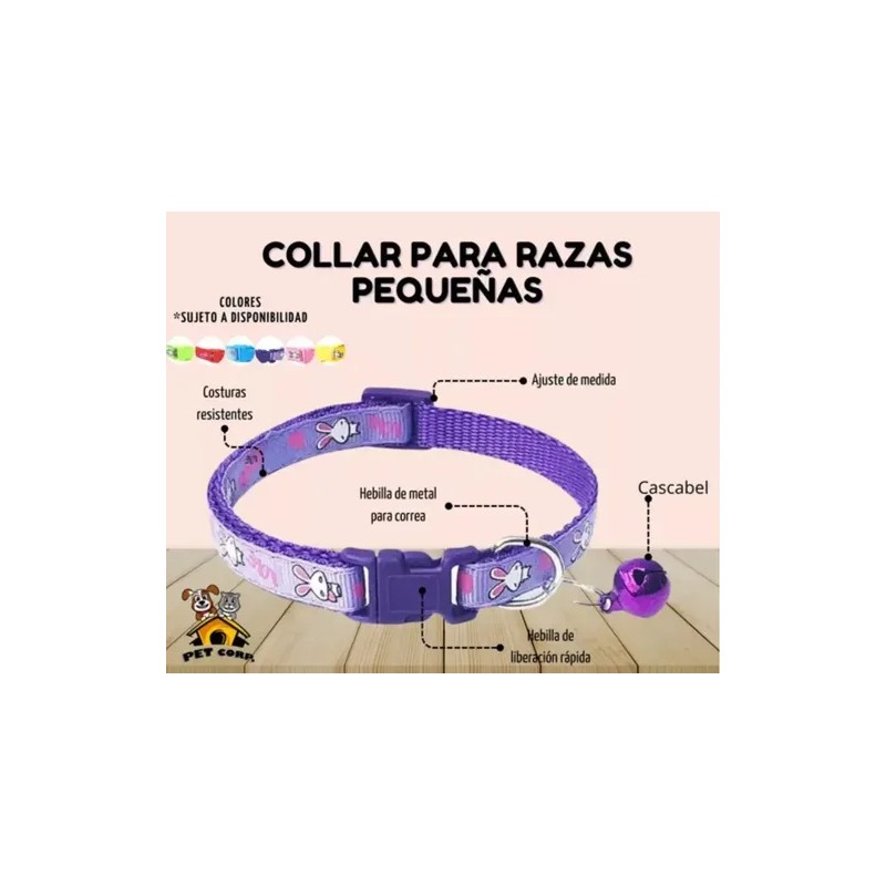 Collar Perros Y Gatos Ajustable Raza Pequeña Kit 6 Piezas