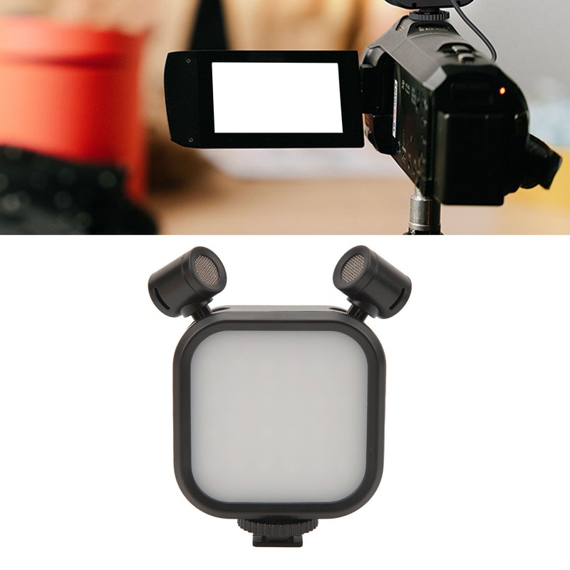 Stereo Microphone Light 10 Levels Brightness Dual Mic Fill Lamp