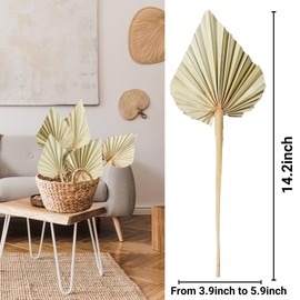 Sggvecsy Boho Dried Palm Leaves 20 Pieces 14.2’’ Natural Dried Palm Spears Small Dried Palm Fans for Flower Bouquet Boho Wedding Home Party Kitchen Vase Farmhouse Table Arrangements Anniversary Decor