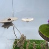 Jumping Spider Mushroom Shelf, Magnetically Concealed Jumping Spider Habitat,Serves As