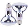 Aiicioo Intense Basking Bulb Spot Lamp - 2 Pack Heat