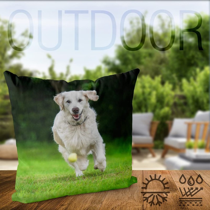 VOID Golden Retriever Ball Cushion Cover Sofa Cushion Decorative Outdoor