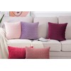 Madizz Pack of 2 Super Soft Velvet Decorative Cushion Covers