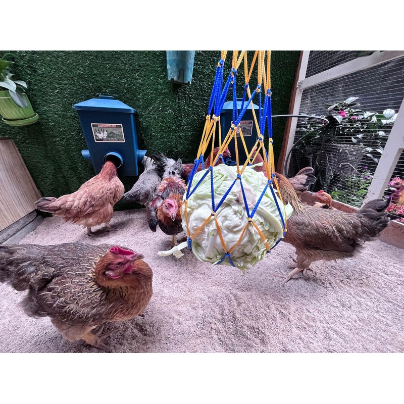 Chicken Waterer with Float Controlled Automatic Set, Chicken Coop Accessories