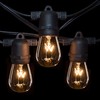 Commercial E26 String Lights with 16 Gauge Wire (24 Foot