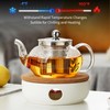 Glass Teapot with Removable Infuser, 27 oz/800ml Glass Tea Pot