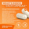 Bio-Kult Boosted Extra Strength Gut Health| 14 Strains | Probiotics