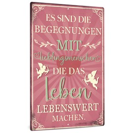 Putuo Decor Es Sind Die Signs Retro, Vintage Decorative Metal Sign Sayings Signs, Decoration Living Room Yard Wall Decoration Signs, 20 x 30 cm