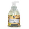 Nature's Oil Foaming Hand Soap, Honey Almond, 10 Fluid Ounces
