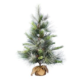 Vickerman 36" Frosted Myers Pine Artificial Christmas Tree, Unlit - Faux Table Top Christmas Tree - Seasonal Indoor Home Decor