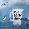 2 Replacement Polar ICE Chamber caps for the Polar ICE