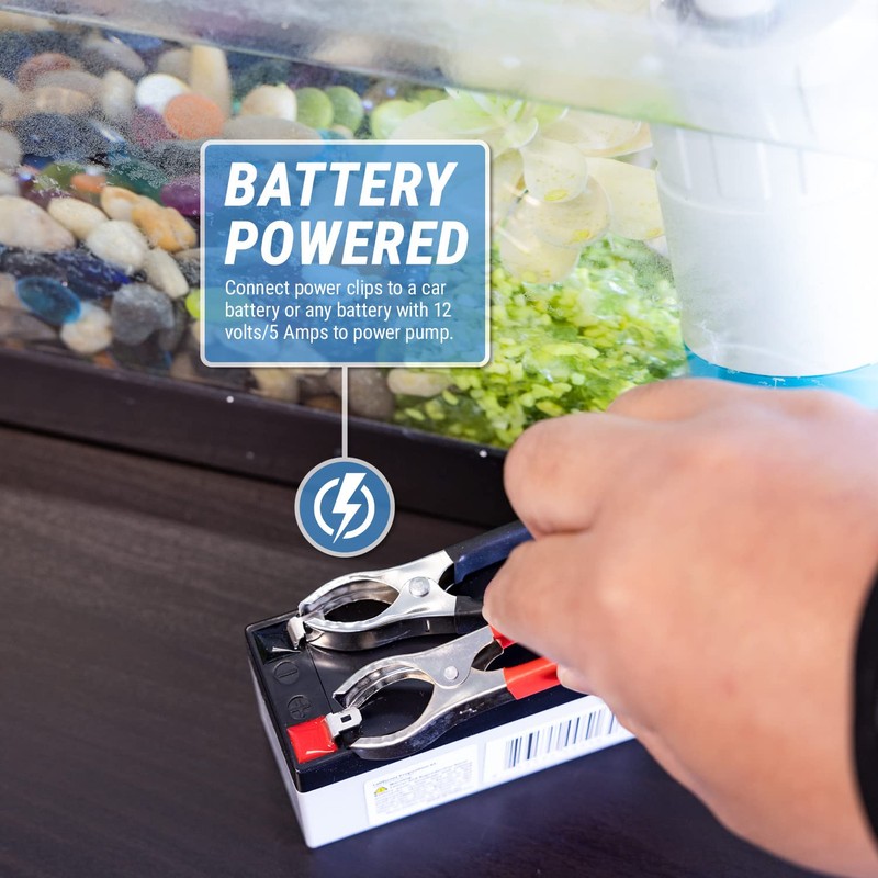 TERA PUMP 12V DC Powered Submersible Water Pump For Small