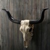Veronese Design 14 Inch Long Horn Animal Skull Resin Wall