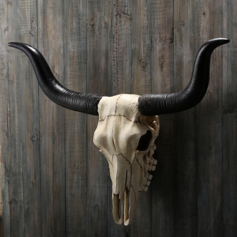 Veronese Design 14 Inch Long Horn Animal Skull Resin Wall