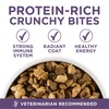 Purina ONE High Protein Dry Senior Dog Food Plus Vibrant