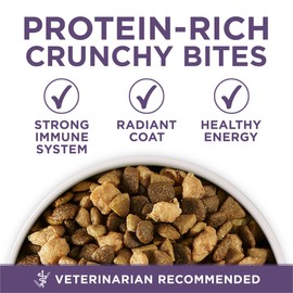 Purina ONE High Protein Dry Senior Dog Food Plus Vibrant Maturity Adult 7 Plus Formula - 31.1 lb. Bag