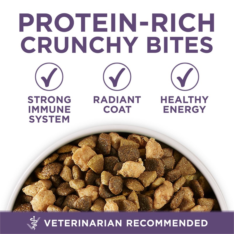 Purina ONE High Protein Dry Senior Dog Food Plus Vibrant