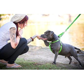 FRIENDLY (Known as Friendly to all) Green Colour Coded L-XL Non-Pull Dog Harness and 60cm 1.2m 1.8m Luxury Neoprene Padded Handle Lead Sets PREVENTS Accidents By Warning Others Of Your Dog In Advance (Harness & 1.8m)
