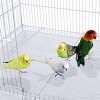 Mcage 36" X-Large Tight 3/8-inch Bar Breeding Flight Bird Cage