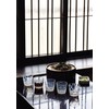 Hirota Glass TR-33-1 Buckwheat Iniguchi Taisho Romantic Glass Checkerboard