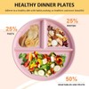 Divided Dinner Plate Sets, 2 Pieces Division Diet Plates with