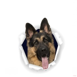 Car Sticker 15 cm German Shepherd Sticker German Shepherd Car Stickers Pet Dog Ripped Sticker Reflective Waterproof Sticker Car Bumper Rear Window Decor D2005#