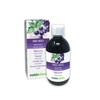 Blackcurrant (Ribes nigrum) Leaves and Fruits Alcohol-Free Mother Tincture Naturalma