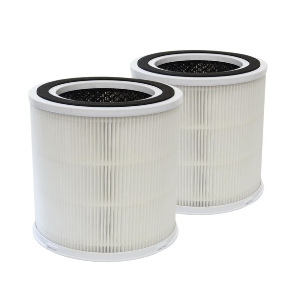 PUREBURG Replacement Filter Compatible with DAYETTE AP301 & JOWSET AP301
