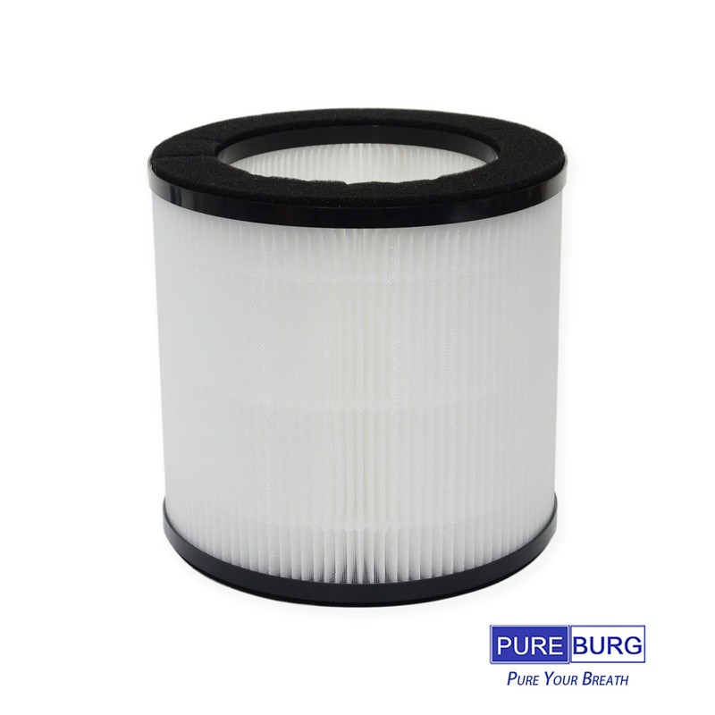 PUREBURG Replacement True HEPA Filters Compatible with TRUSTECH & Air